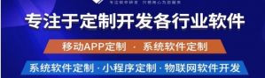 揭示專業(yè)軟件開發(fā)和定制公司的需求。</a>